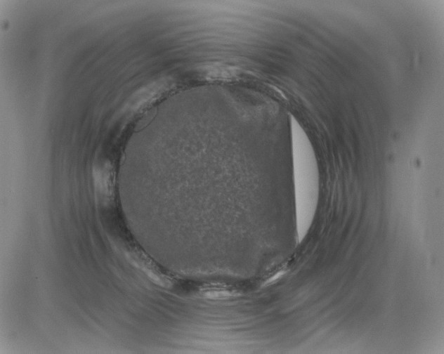 X0000081470228200701262011