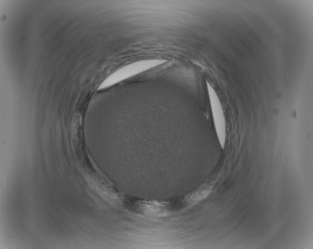 X0000081470229200701262011