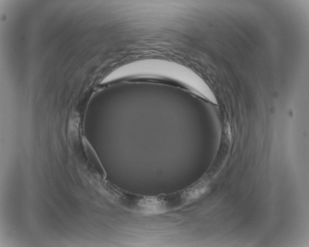 X0000081470231200701262011