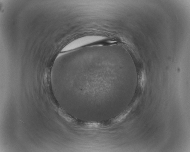 X0000081470233200701262011