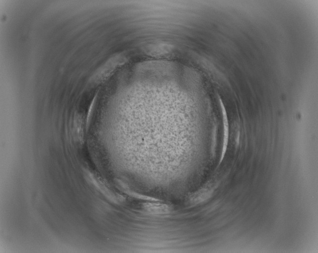 X0000081470234200701262011