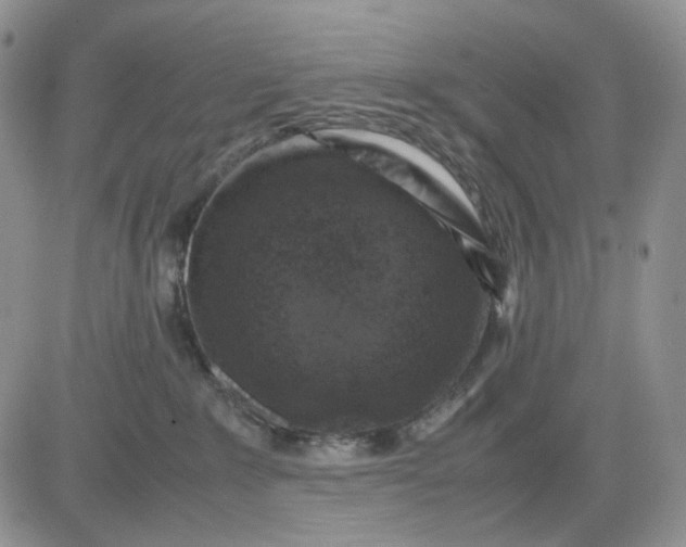 X0000081470235200701262011