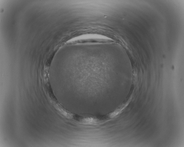 X0000081470237200701262011