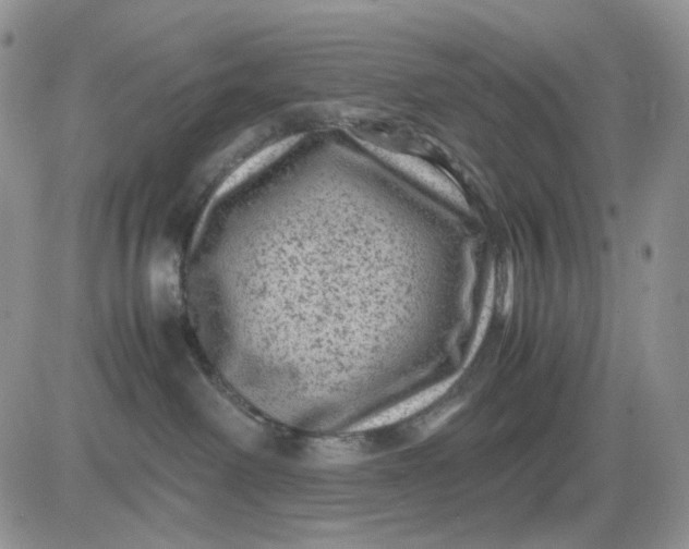 X0000081470238200701262011