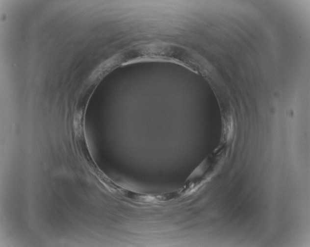 X0000081470239200701262011