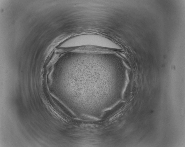 X0000081470242200701262010