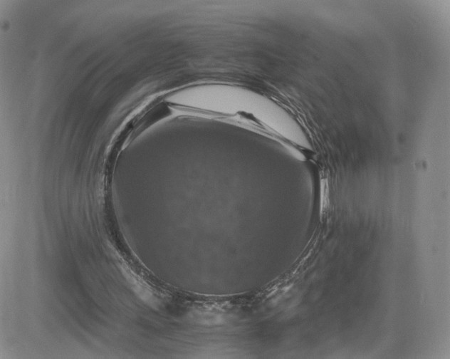 X0000081470243200701262010