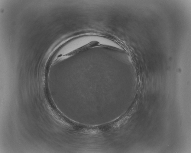 X0000081470247200701262010