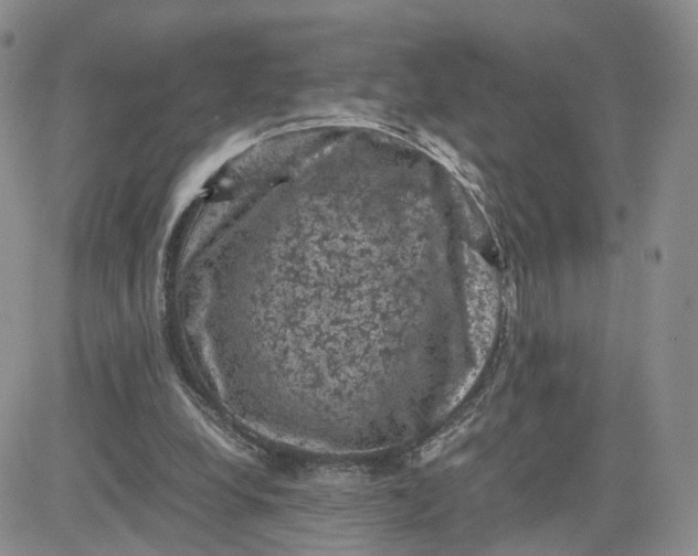 X0000081470248200701262010