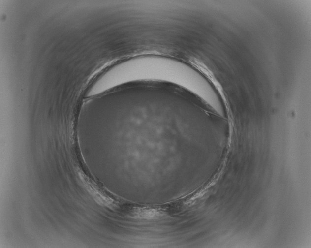 X0000081470249200701262010