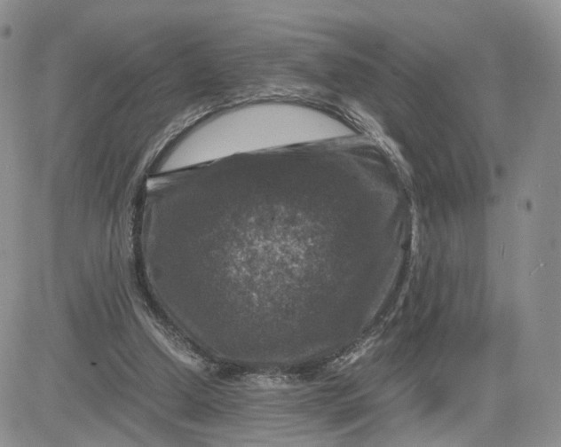 X0000081470250200701262010