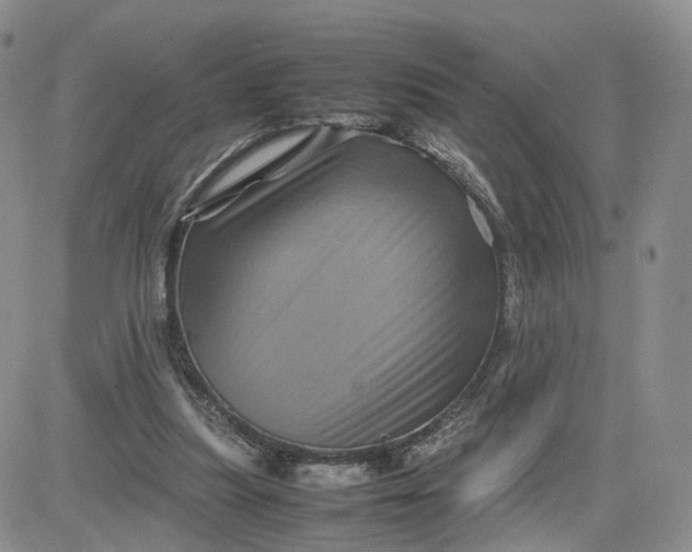 X0000081470251200701262010