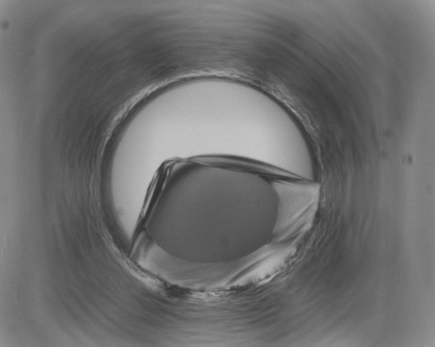 X0000081470252200701262010