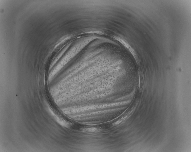 X0000081470253200701262010