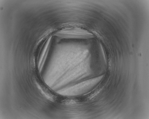 X0000081470254200701262010