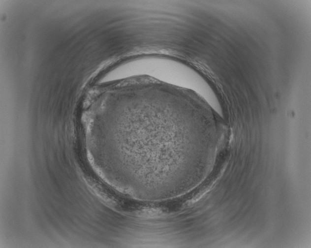 X0000081470256200701262010