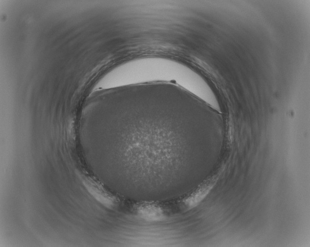 X0000081470258200701262010