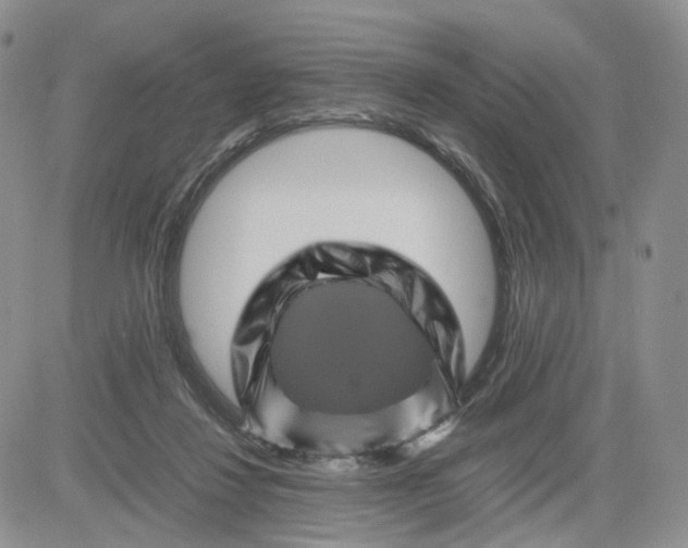 X0000081470260200701262010