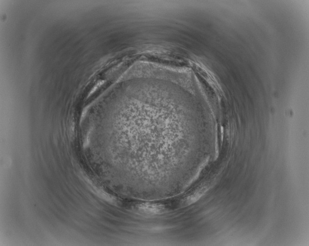 X0000081470261200701262010