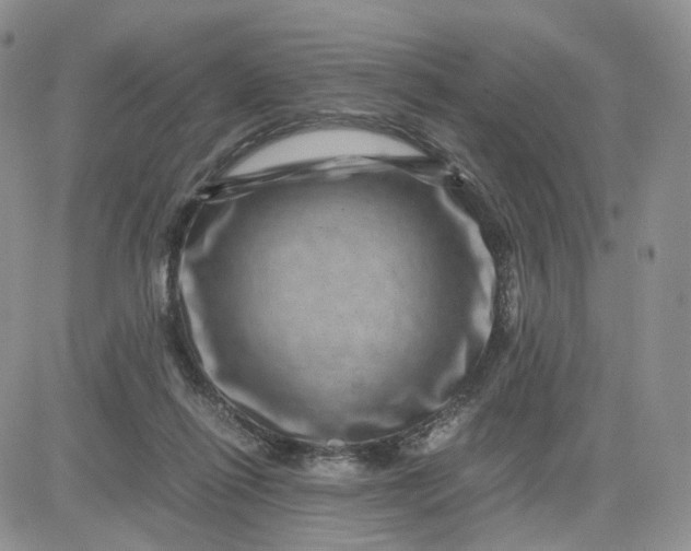 X0000081470262200701262010