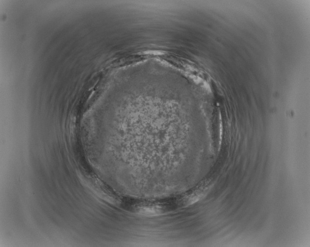 X0000081470263200701262010