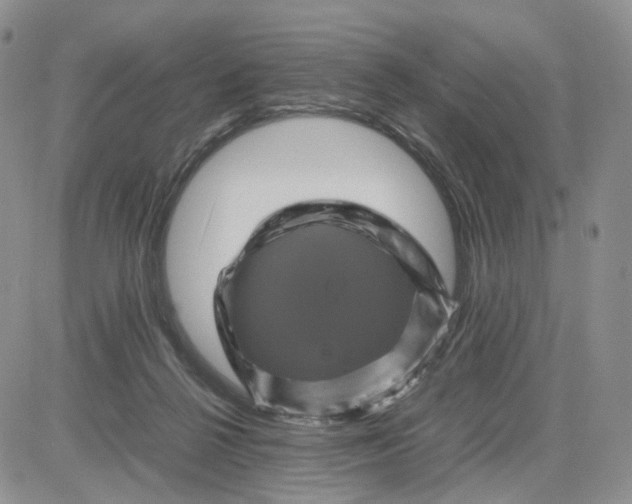 X0000081470264200701262010