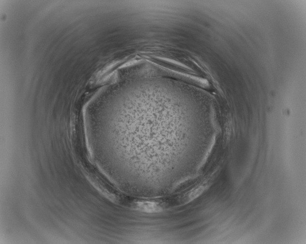 X0000081470265200701262010