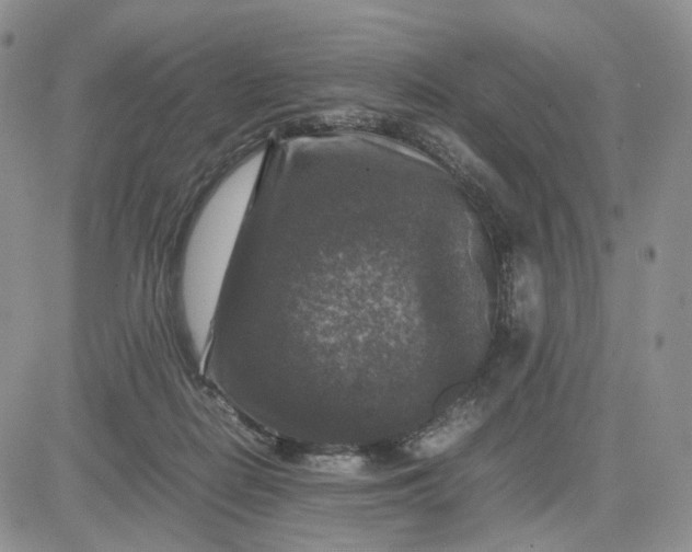 X0000081470266200701262010