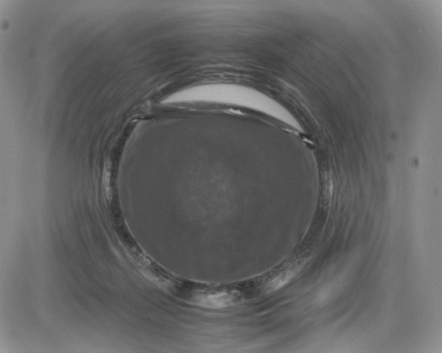 X0000081470267200701262010