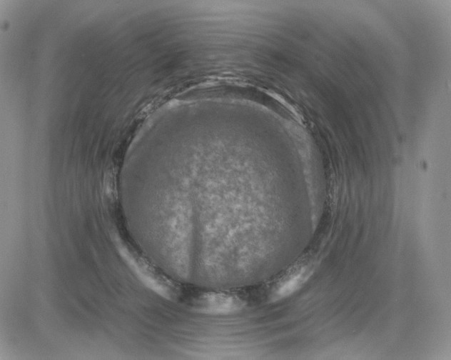 X0000081470272200701262010