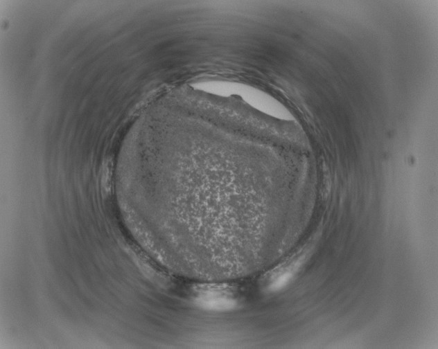 X0000081470273200701262010