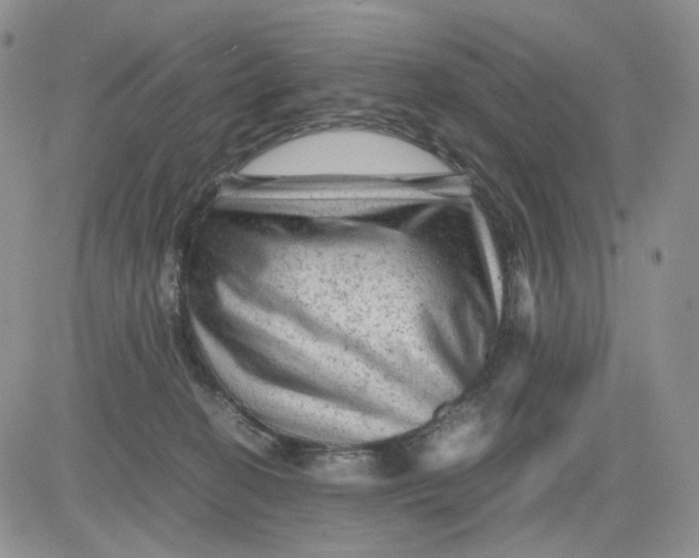 X0000081470274200701262010