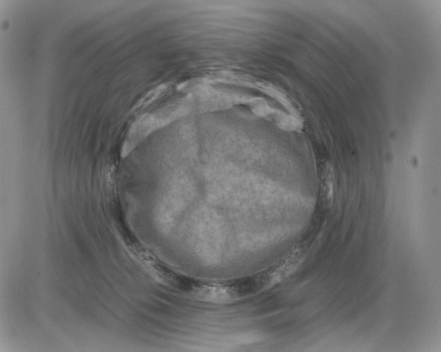 X0000081470276200701262010