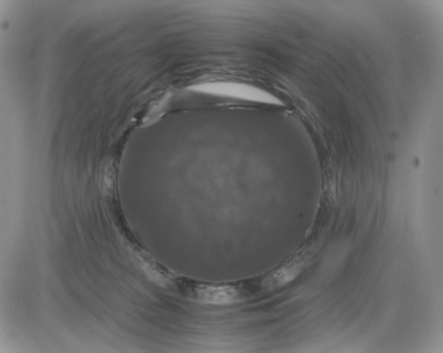 X0000081470277200701262010