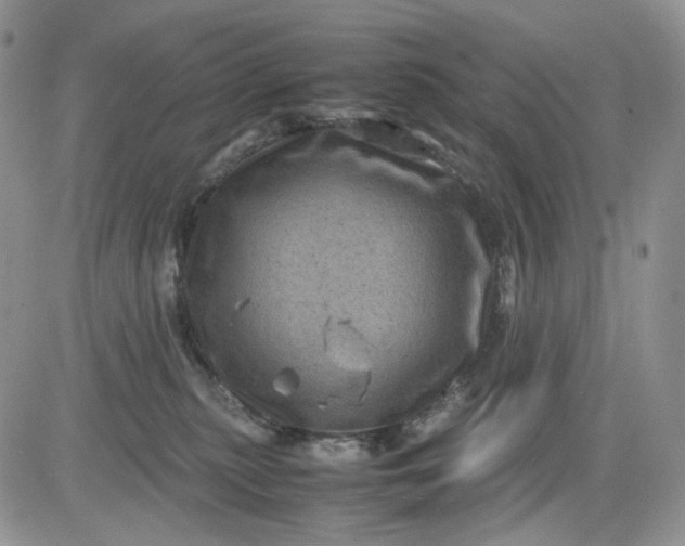 X0000081470279200701262010