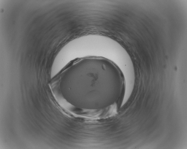 X0000081470280200701262010