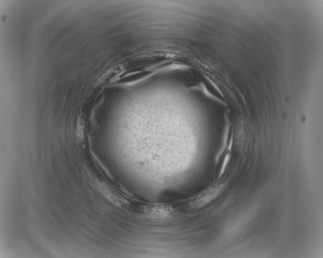 X0000081470282200701262010