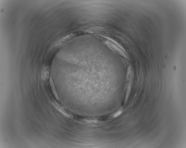 X0000081470284200701262011