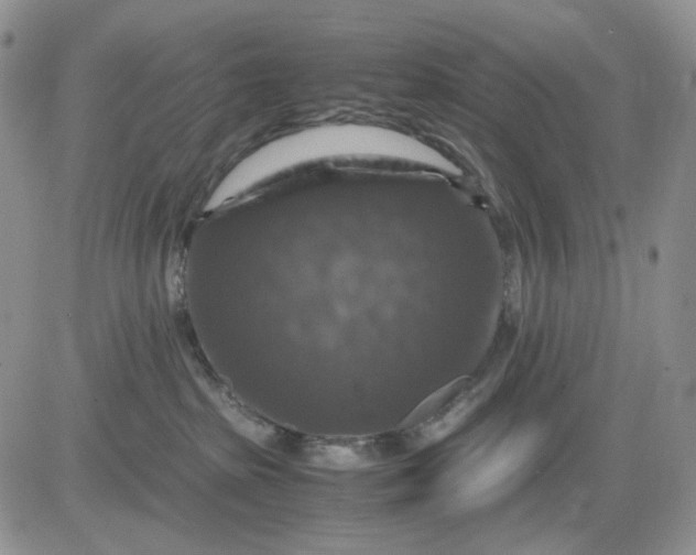 X0000081470285200701262011