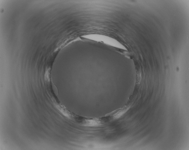 X0000081470286200701262011