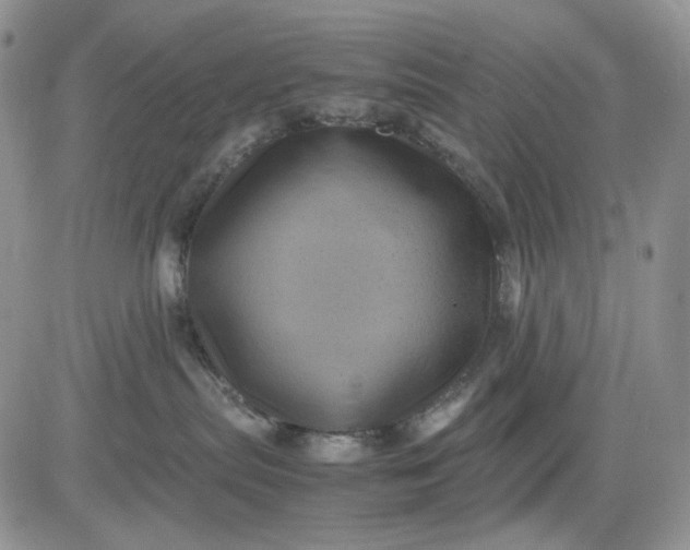 X0000081470287200701262011