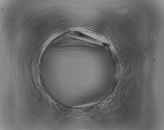 X0000081470289200701262010