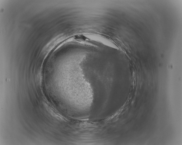 X0000081470290200701262010