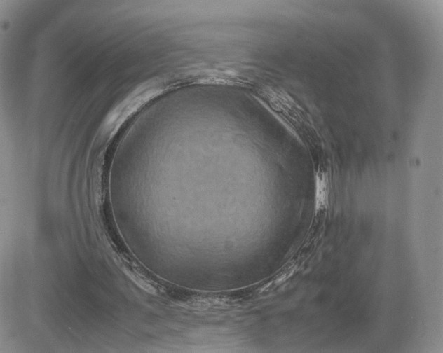 X0000081470291200701262010