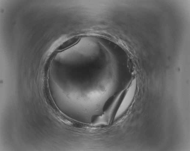 X0000081470295200701262010