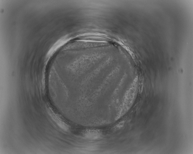 X0000081470296200701262010