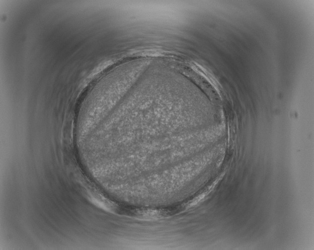 X0000081470301200701262010