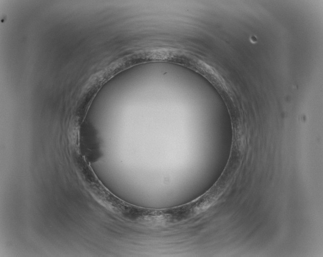 X0000081470307200701262010