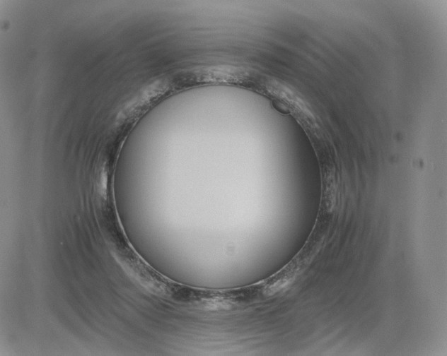 X0000081470310200701262009