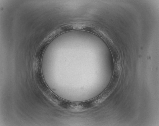 X0000081470311200701262009